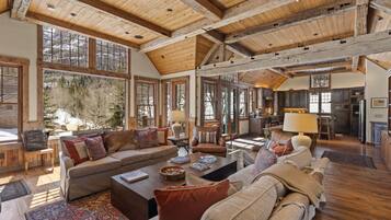 TV connectée, cheminée, lecteur de DVD, livres