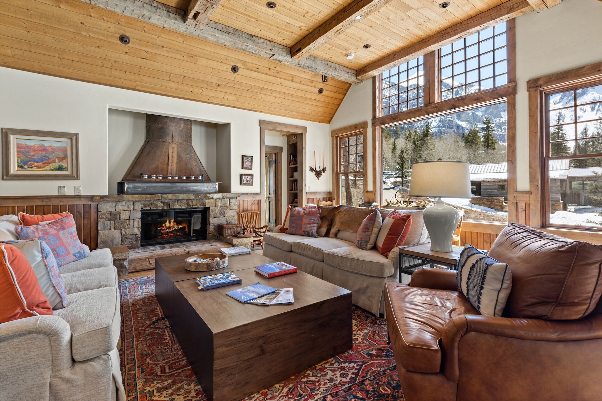 TV connectée, cheminée, lecteur de DVD, livres