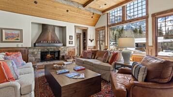 TV connectée, cheminée, lecteur de DVD, livres