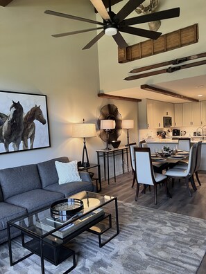 Smart TV, fireplace, DVD player, books