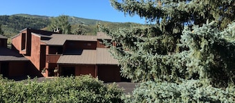 Don't Miss This One! Gorgeous, Upscale Mountain Retreat