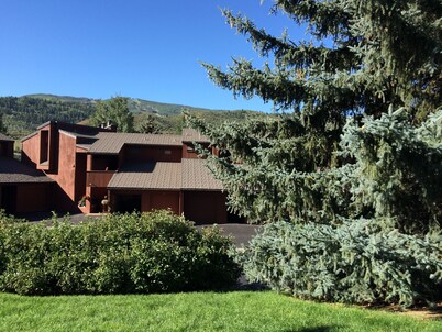 Don't Miss This One! Gorgeous, Upscale Mountain Retreat