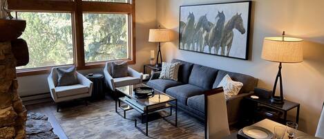 TV connectée, cheminée, lecteur de DVD, livres