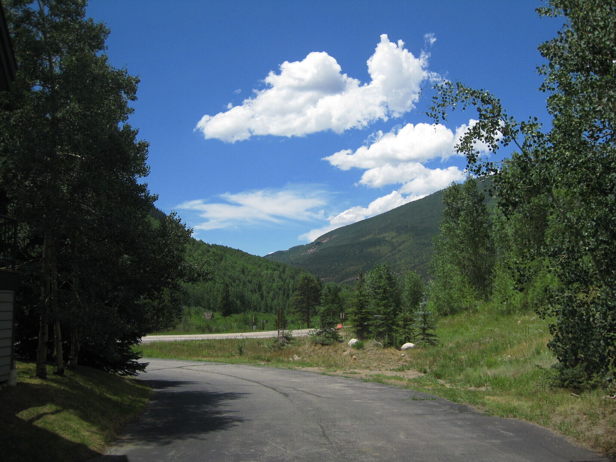 A paved road leading into a forested area with a mountain in the background.