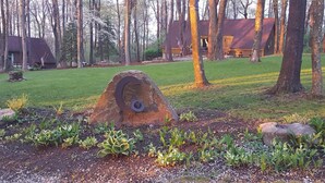 A landscaped garden with a large rock centerpiece, surrounded by various plants and trees. - Seven Springs Cabin - Fox Tail Chalet - Authentic, Pet Friendly Log Cabin Chalet (Champion)