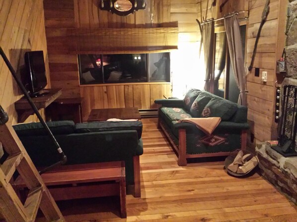 Fernseher, Kamin, Bücher, Videothek