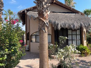 A house with a thatched roof, large windows, and a stone-paved courtyard surrounded by various plants and trees.