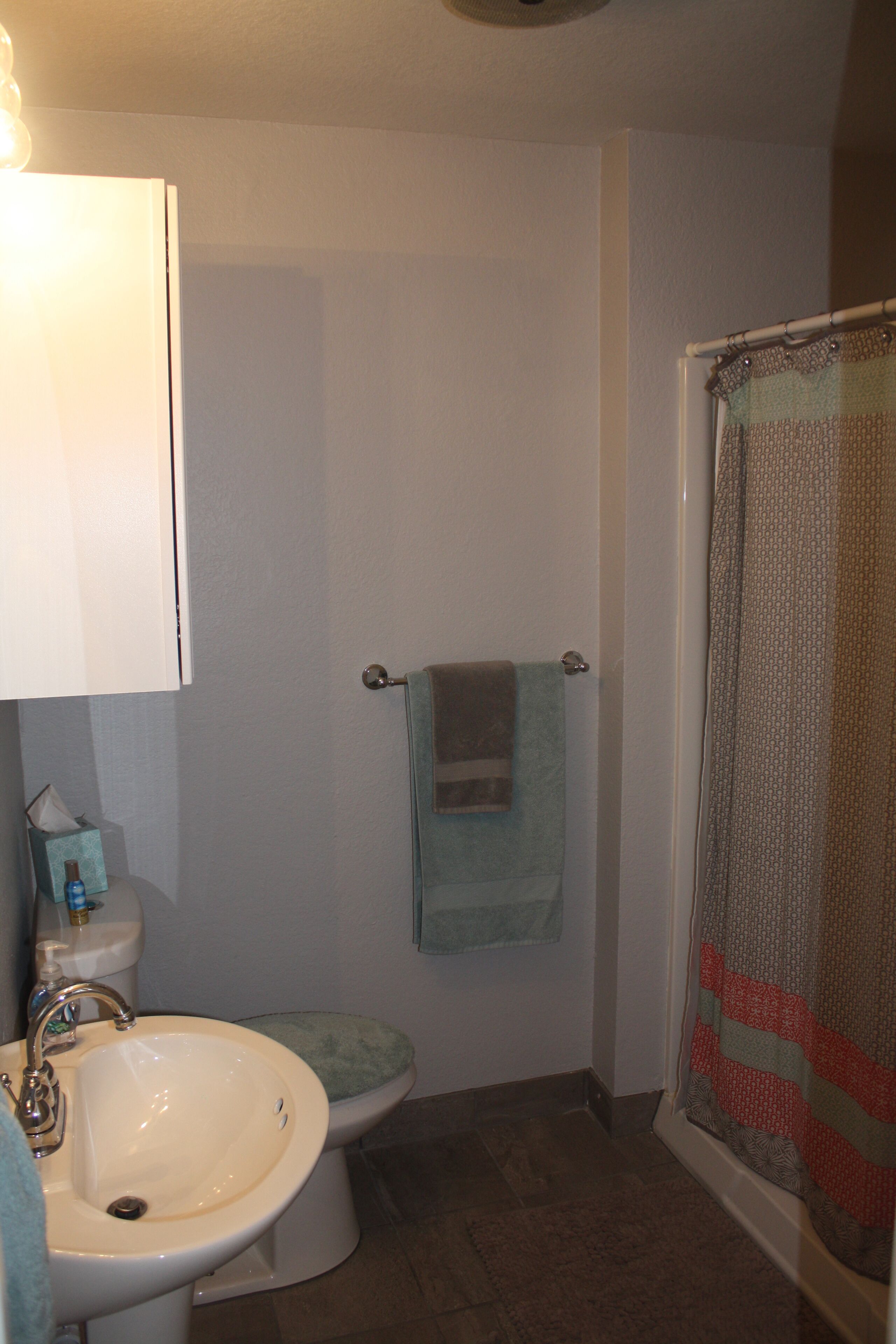 Spacious garage apartment in central historic Hyde Park 