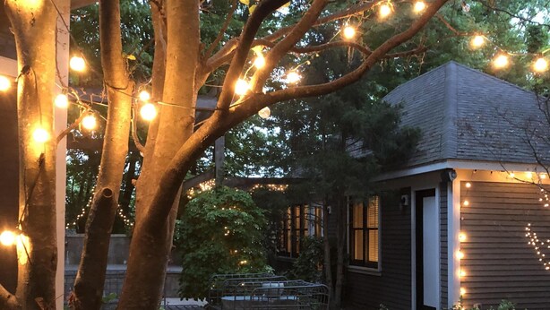 A stone pathway leading to a house with string lights and a tree in the foreground. - ALL 5 STAR REVIEWS! Walk to lake, dining & coffee. Private hot tub, assoc pool. (Union Pier)