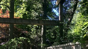 A rectangular pool with water cascading over a stone wall, surrounded by trees and a wooden structure. - ALL 5 STAR REVIEWS! Walk to lake, dining & coffee. Private hot tub, assoc pool. (Union Pier)