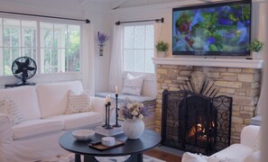Télévision, cheminée, livres, médiathèque
