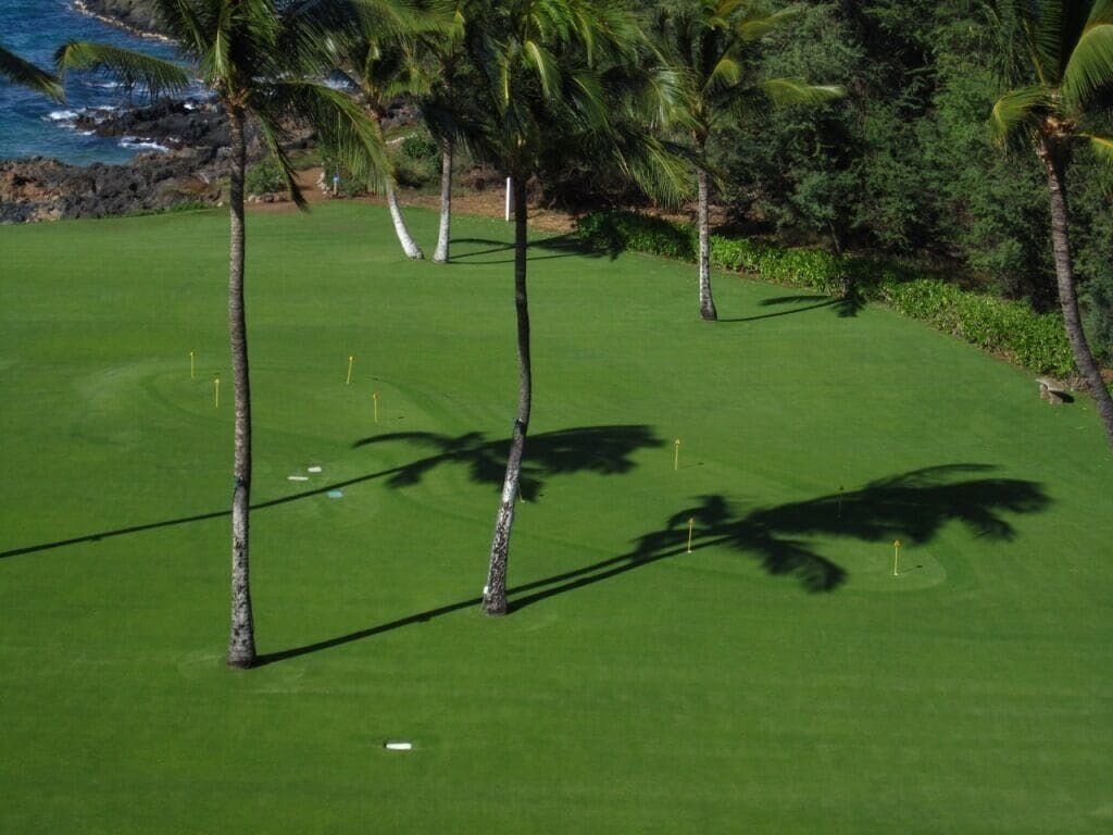Ein Golfplatz mit freiem Blick auf das Meer und Palmen.