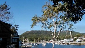 Un puerto deportivo con barcos amarrados, un edificio de madera y una colina al fondo.