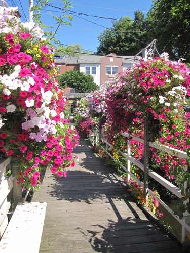 Viehättävä mökki kävelylle Camdenin satamaan - tutustu arvosteluihimme!