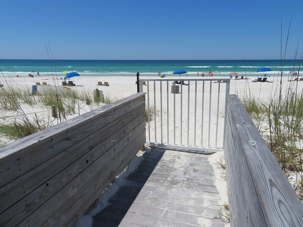 On the beach, sun-loungers - Directly on Panama City Beach! 5 STAR, Property, bring your dog!
(Panama City Beach)