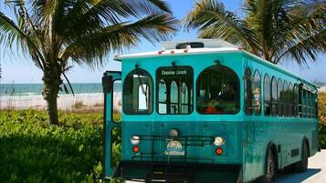 Un autobus turquoise portant l’inscription « Coquina Jeach » est garé sur une zone pavée, avec des palmiers et une plage en arrière-plan.
