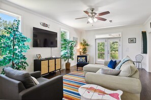 TV, DVD player, video library