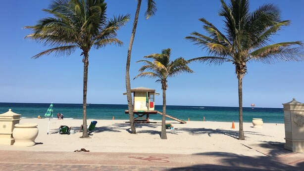 A beach with palm trees, a lifeguard tower, and a clear blue sky.