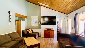 Smart TV y chimenea