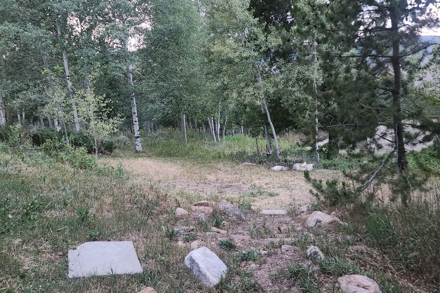 A natural outdoor area with a dirt path, rocks, and trees.