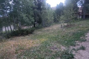 A grassy area with trees and a dirt path. - Spacious 11BR Cabin for Groups | Near Granby Ranch (Granby)