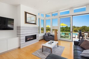 TV, fireplace, music library, stereo