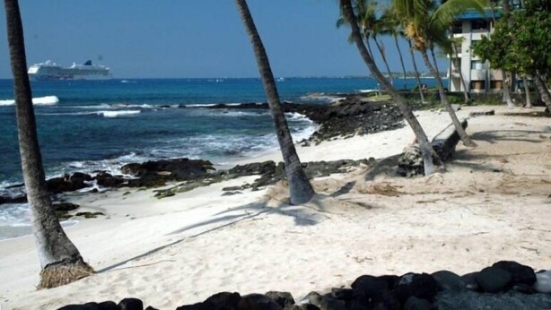 A beach with palm trees, a sandy shore, and a cruise ship in the background. - Kona Pacific B311 - Quiet, comfortable & walking distance to Town and the beach (Kailua Kona)