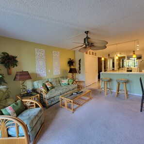 TV, DVD player, books, stereo