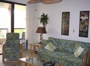 Televisión, reproductor de DVD, libros y estéreo 