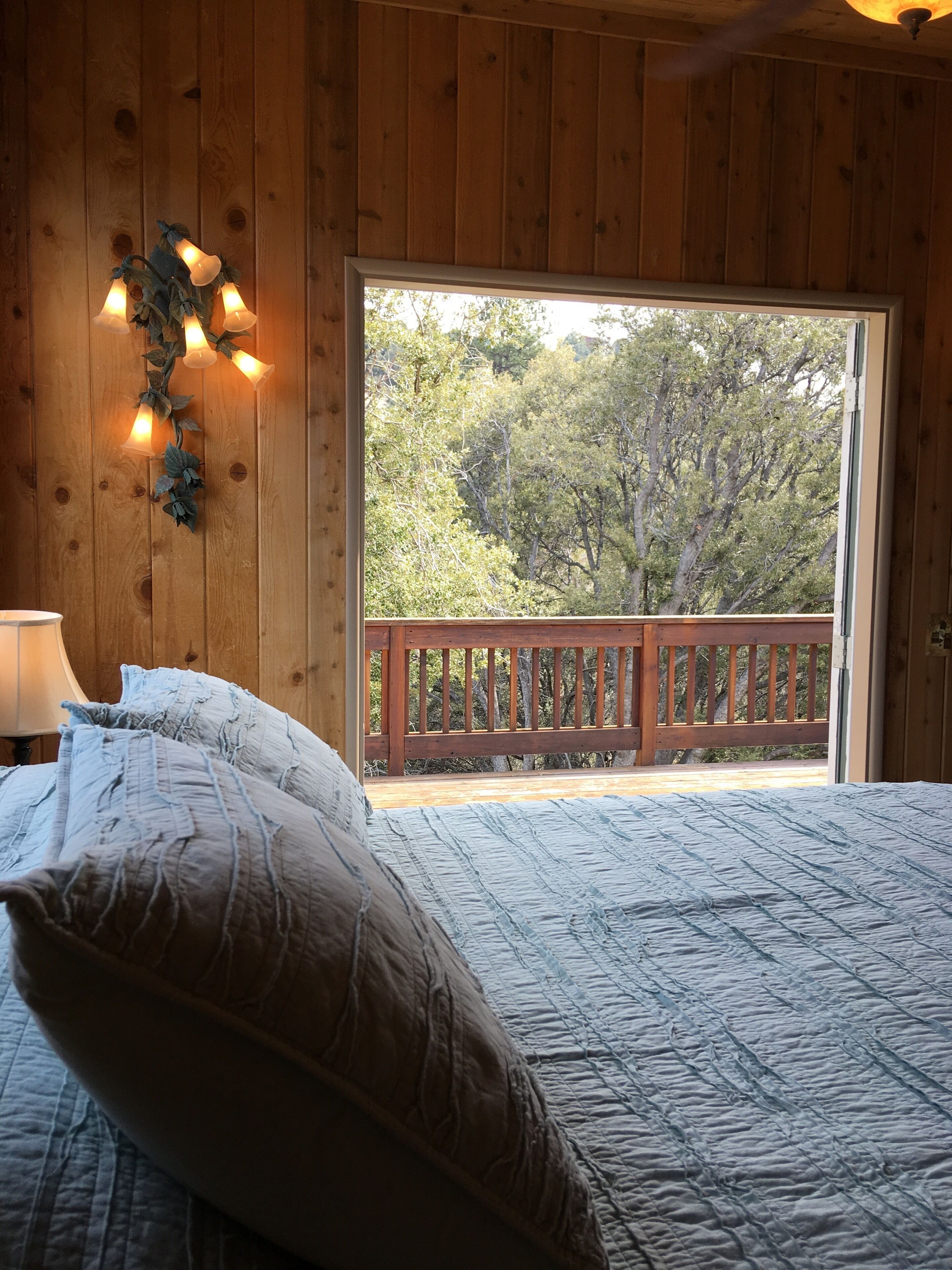 Starry nights, endless skies, mountain views! Cozy cabin in the woods.