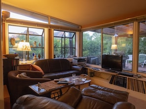 TV connectée, cheminée, lecteur de DVD, livres