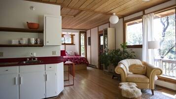 TV, fireplace, DVD player, books