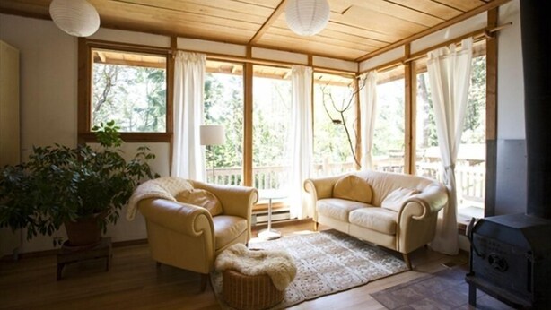 A cozy living room with wooden flooring, two leather sofas, a large potted plant, and a wood-burning stove. - A Happy Nest up in the trees, unique Salt Spring Cottage close to town (Salt Spring Island)