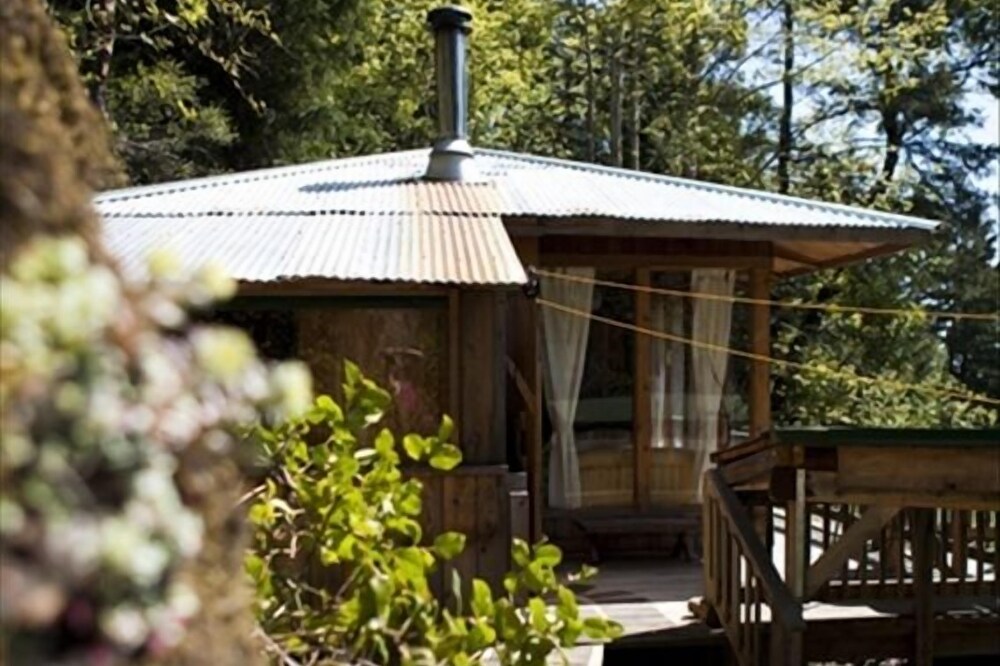A Happy Nest up in the trees, unique Salt Spring Cottage close to town