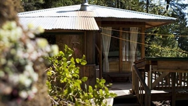 A Happy Nest up in the trees, unique Salt Spring Cottage close to town ...
