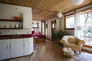 TV, fireplace, DVD player, books