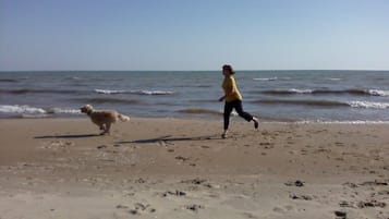 Accommodatie ligt op het strand, ligstoelen, strandlakens