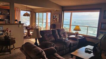 Televisión, chimenea, reproductor de DVD y libros