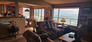TV, fireplace, DVD player, books