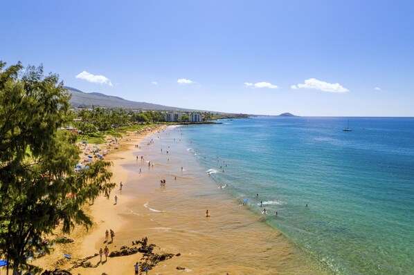 Plage à proximité, chaises longues, serviettes de plage