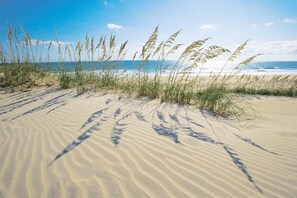 On the beach