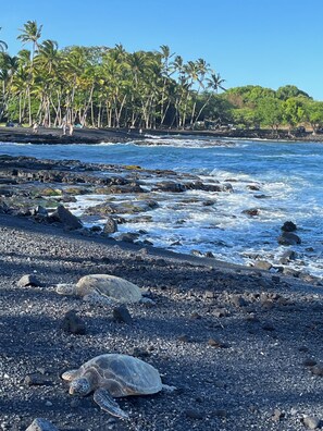 Chaises longues, serviettes de plage