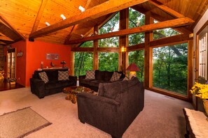 TV, fireplace, DVD player