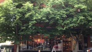 Une vue de rue avec un trottoir bordé d’arbres, une borne d’incendie et une devanture de magasin dotée de grandes vitrines et d’une enseigne.