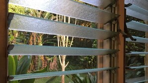Une fenêtre avec des stores horizontaux, une vue sur une végétation tropicale et un cadre en bois.