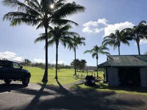 A golf course with palm trees, a parked car, and a building with a green roof.