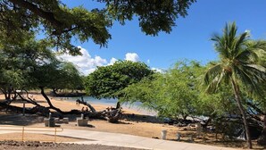 Une plage bordée d’arbres, avec un chemin en béton et une zone sablonneuse.