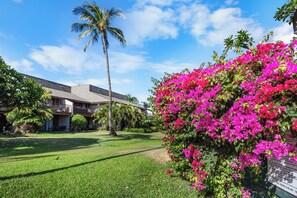 A building with a balcony, a palm tree, and pink flowers.