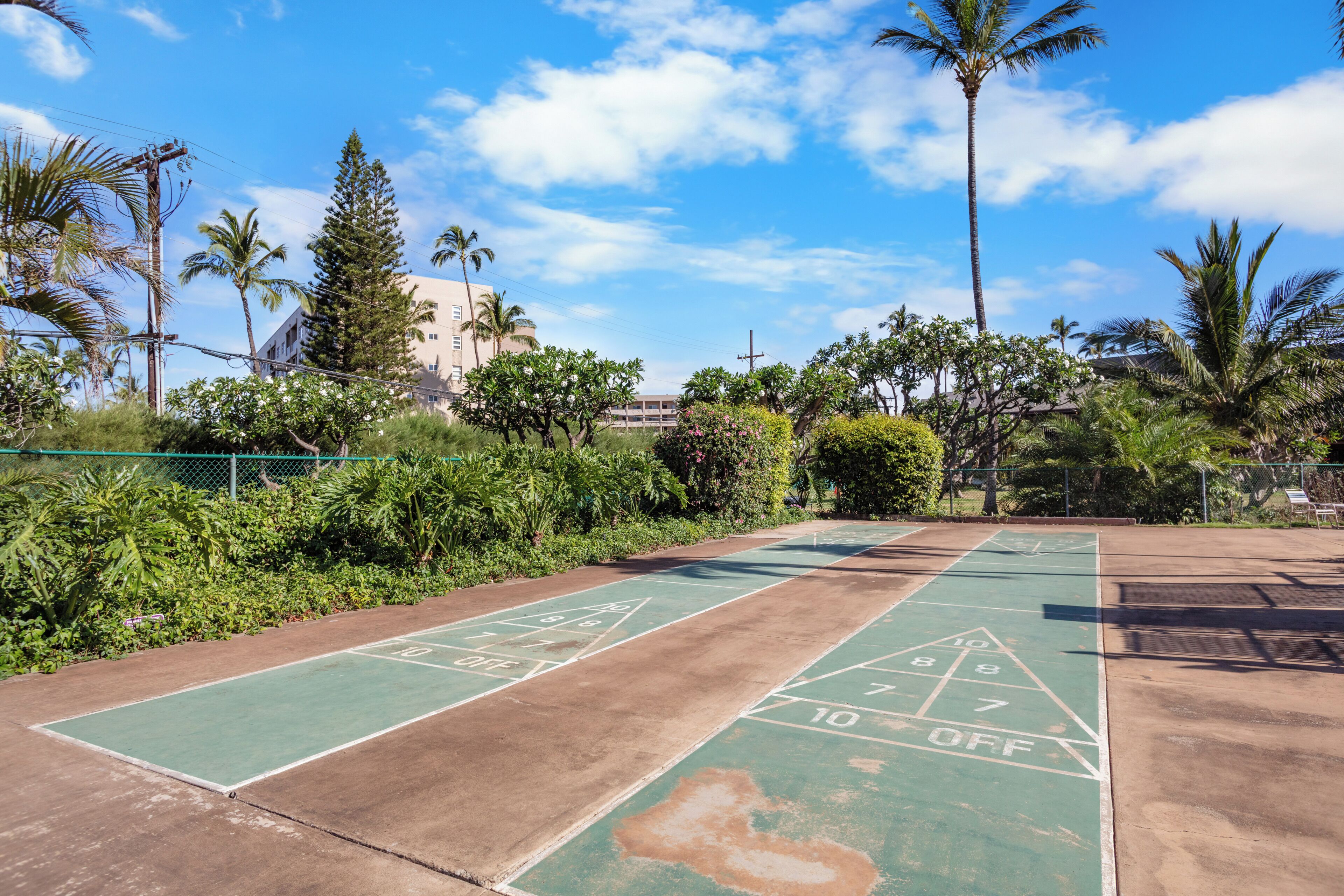 A shuffleboard court with green and brown markings, surrounded by greenery and palm trees.