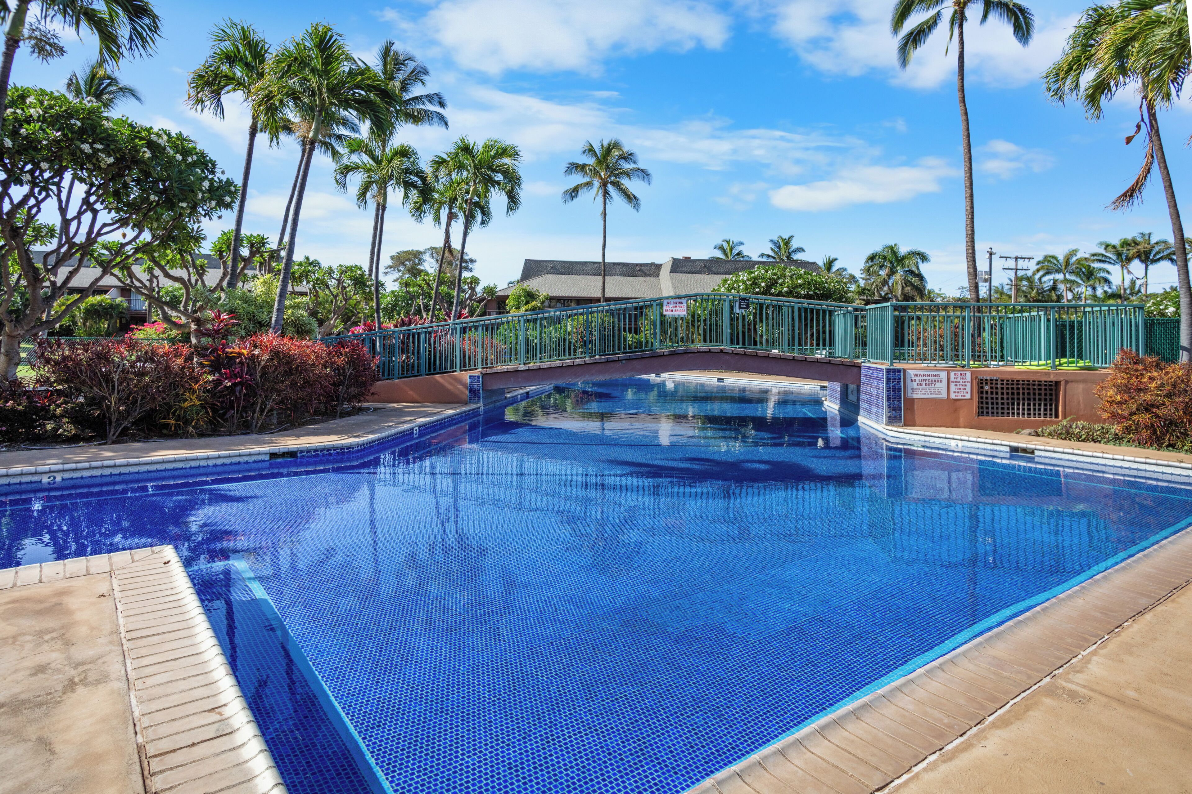 A swimming pool with a tiled deck, surrounded by palm trees and a bridge.
